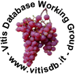 Logo Vitis